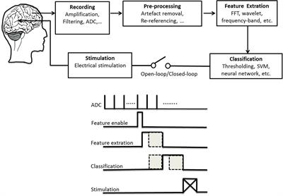 Directions of Deep Brain Stimulation for Epilepsy and Parkinson’s Disease